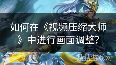 如何在《视频压缩大师》中进行画面调整？