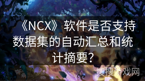 《NCX》软件是否支持数据集的自动汇总和统计摘要？
