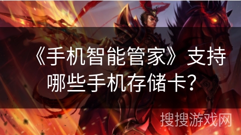 《手机智能管家》支持哪些手机存储卡？