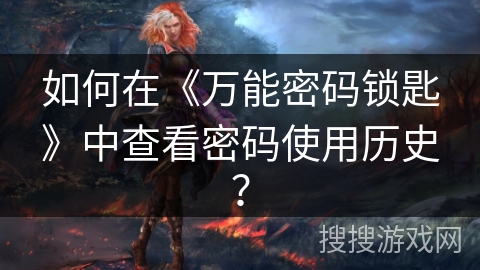 如何在《万能密码锁匙》中查看密码使用历史？