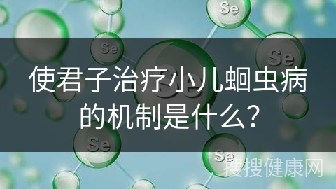 使君子治疗小儿蛔虫病的机制是什么？