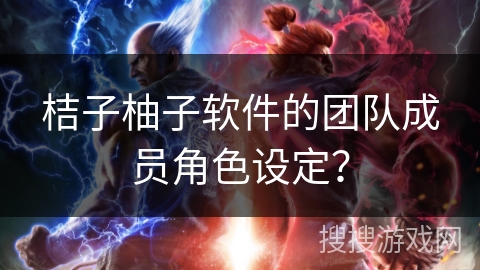 桔子柚子软件的团队成员角色设定？