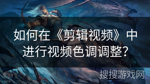 如何在《剪辑视频》中进行视频色调调整？