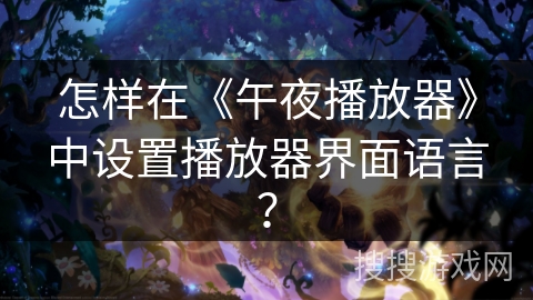 怎样在《午夜播放器》中设置播放器界面语言？