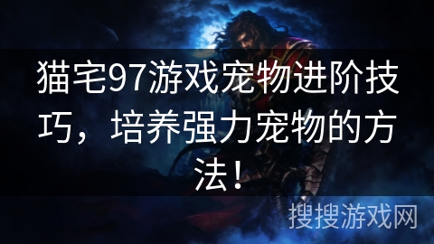 猫宅97游戏宠物进阶技巧，培养强力宠物的方法！