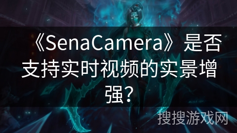 《SenaCamera》是否支持实时视频的实景增强？