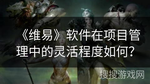 《维易》软件在项目管理中的灵活程度如何？