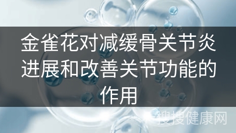 金雀花对减缓骨关节炎进展和改善关节功能的作用