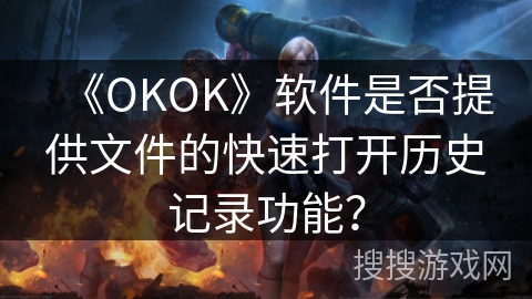 《OKOK》软件是否提供文件的快速打开历史记录功能？