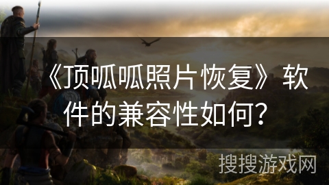 《顶呱呱照片恢复》软件的兼容性如何？