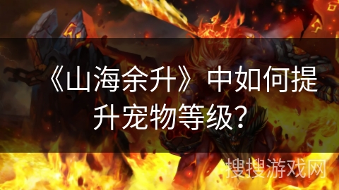 《山海余升》中如何提升宠物等级？