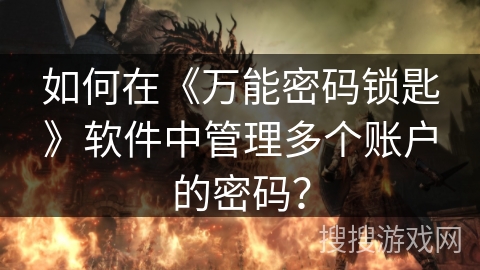 如何在《万能密码锁匙》软件中管理多个账户的密码？