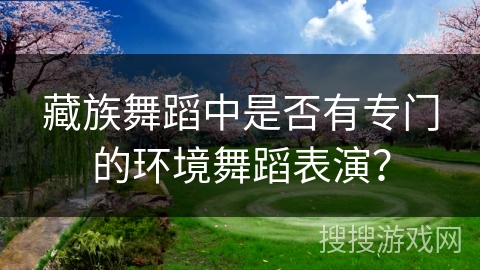 藏族舞蹈中是否有专门的环境舞蹈表演？