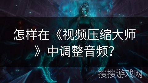 怎样在《视频压缩大师》中调整音频？