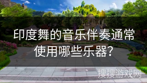 印度舞的音乐伴奏通常使用哪些乐器？