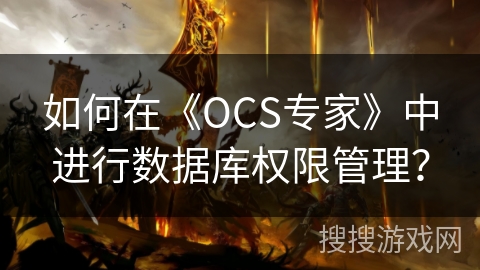 如何在《OCS专家》中进行数据库权限管理？