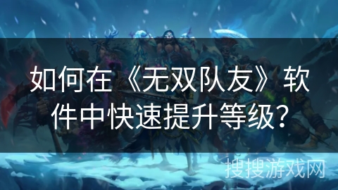如何在《无双队友》软件中快速提升等级？