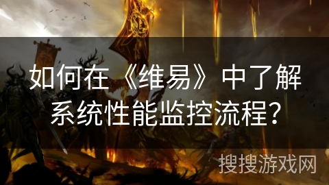 如何在《维易》中了解系统性能监控流程？