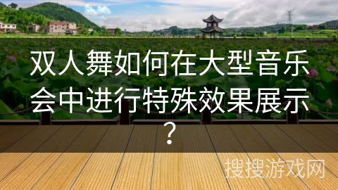 双人舞如何在大型音乐会中进行特殊效果展示？