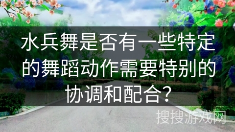水兵舞是否有一些特定的舞蹈动作需要特别的协调和配合？