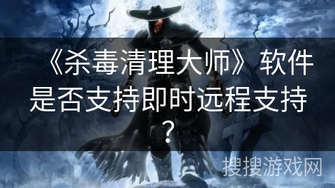 《杀毒清理大师》软件是否支持即时远程支持？