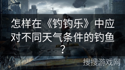 怎样在《钓钓乐》中应对不同天气条件的钓鱼？