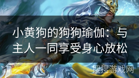 小黄狗的狗狗瑜伽：与主人一同享受身心放松