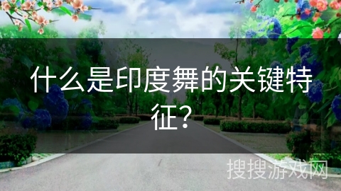 什么是印度舞的关键特征？