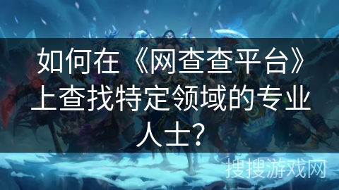 如何在《网查查平台》上查找特定领域的专业人士？