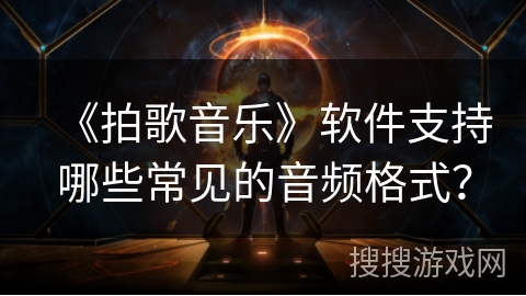 《拍歌音乐》软件支持哪些常见的音频格式？