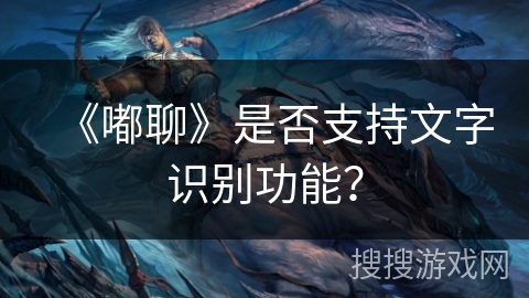《嘟聊》是否支持文字识别功能？