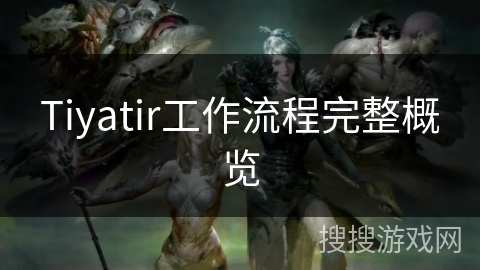 Tiyatir工作流程完整概览