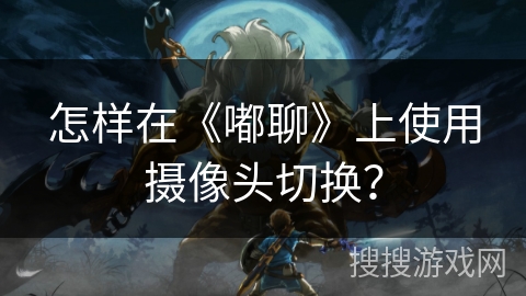 怎样在《嘟聊》上使用摄像头切换？