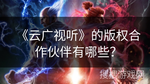 《云广视听》的版权合作伙伴有哪些？