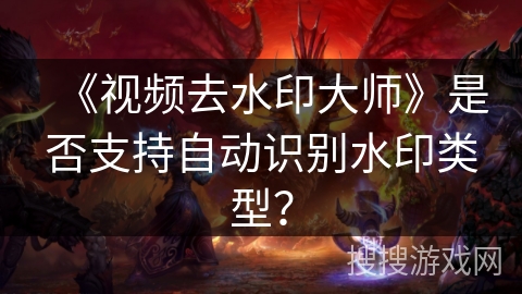 《视频去水印大师》是否支持自动识别水印类型？