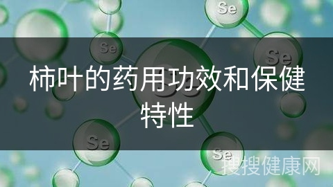 柿叶的药用功效和保健特性