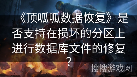 《顶呱呱数据恢复》是否支持在损坏的分区上进行数据库文件的修复？