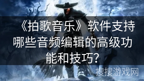《拍歌音乐》软件支持哪些音频编辑的高级功能和技巧？