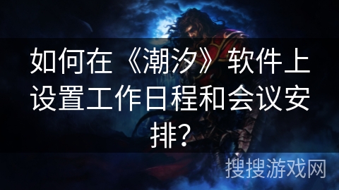 如何在《潮汐》软件上设置工作日程和会议安排？