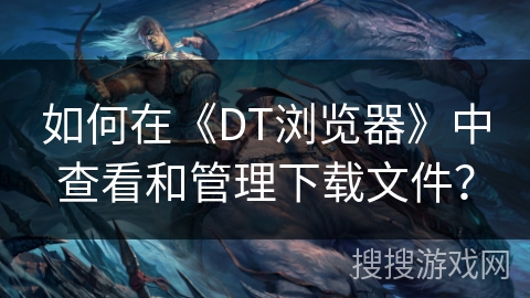 如何在《DT浏览器》中查看和管理下载文件？