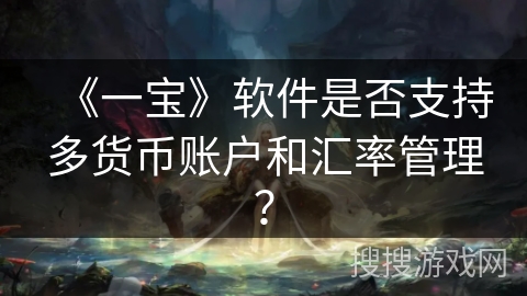 《一宝》软件是否支持多货币账户和汇率管理？