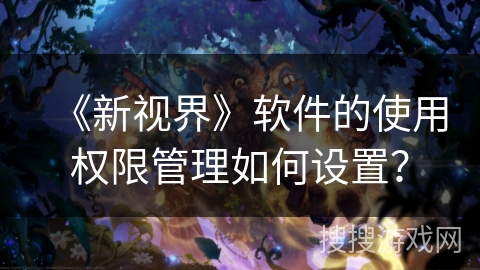 《新视界》软件的使用权限管理如何设置？