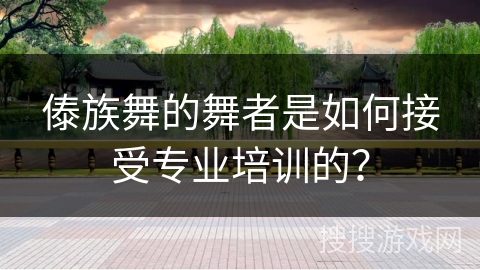 傣族舞的舞者是如何接受专业培训的？