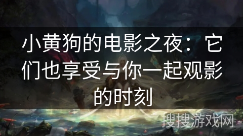 小黄狗的电影之夜：它们也享受与你一起观影的时刻