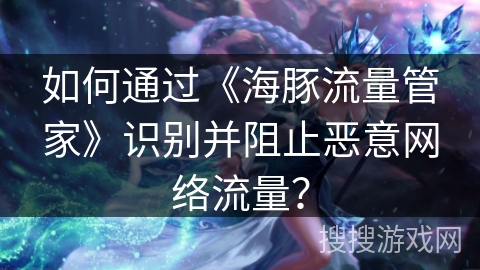 如何通过《海豚流量管家》识别并阻止恶意网络流量？