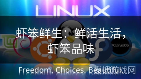 虾笨鲜生：鲜活生活，虾笨品味