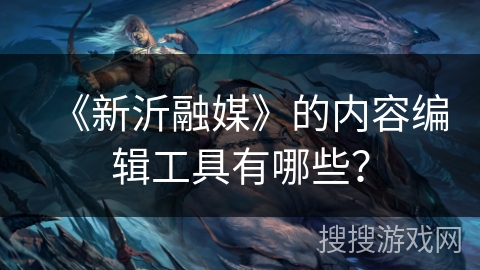 《新沂融媒》的内容编辑工具有哪些？