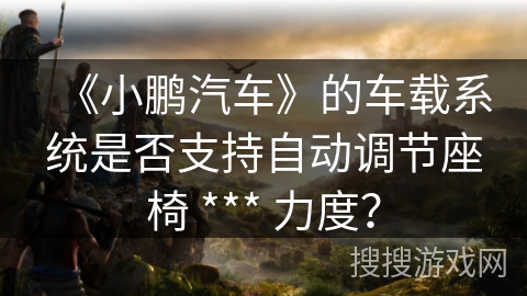 《小鹏汽车》的车载系统是否支持自动调节座椅 *** 力度？