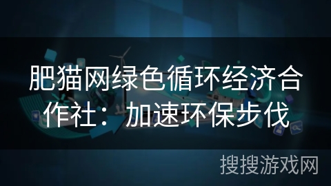 肥猫网绿色循环经济合作社：加速环保步伐