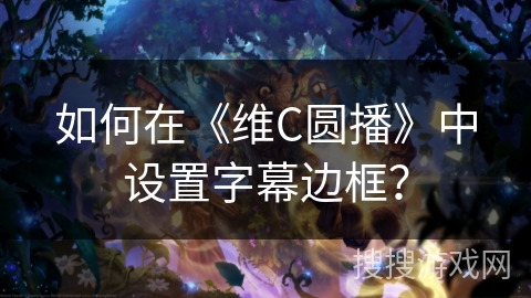 如何在《维C圆播》中设置字幕边框？